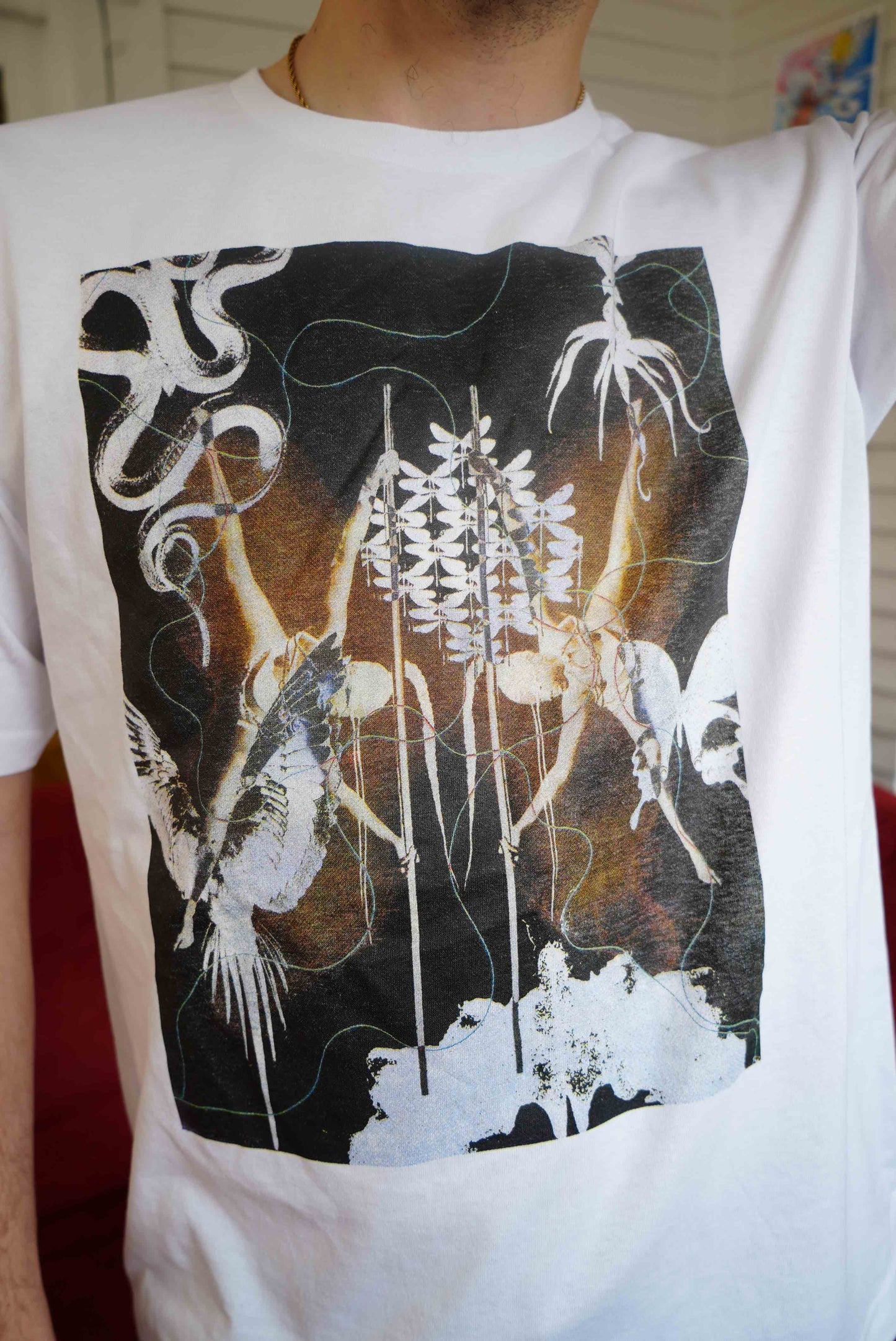 PURE POTENTIALI-TEE